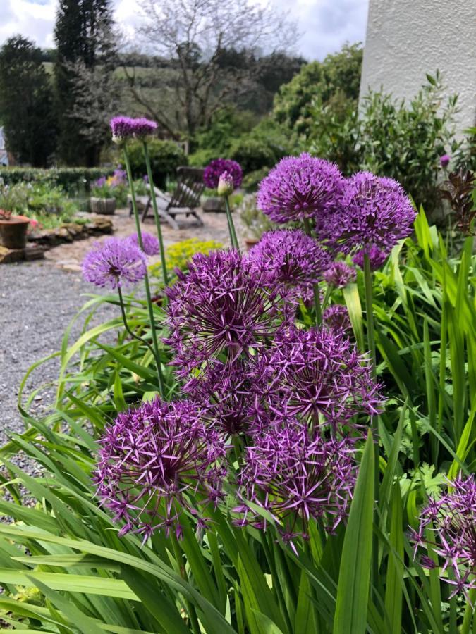 Edgcott House Hotel Exford Luaran gambar
